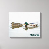 Mallards Canvas Afdruk (Voorkant)