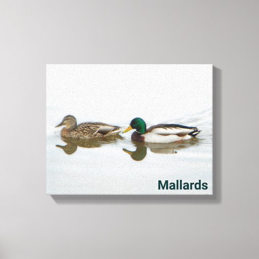 Mallards Canvas Afdruk (Voorkant)