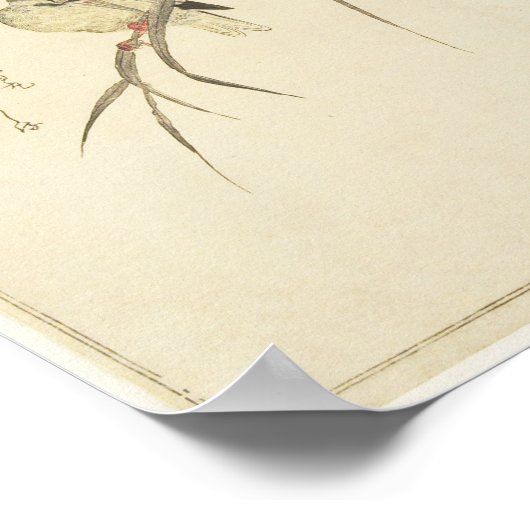 Mallards en een Kingfisher (Utamaro) Poster (Hoek)