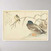 Mallards en een Kingfisher (Utamaro) Poster (Voorkant)