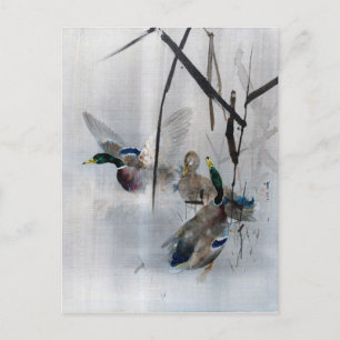 Mallards en Reeds, Watanabe Seitei Briefkaart
