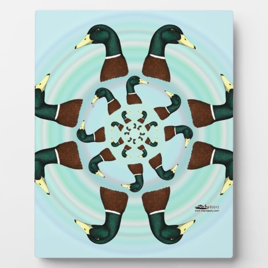 Mallards Galore. Fotoplaat (Voorkant)