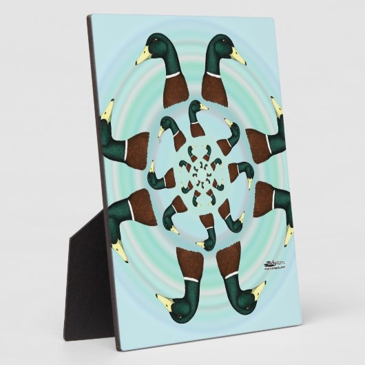 Mallards Galore. Fotoplaat (Zijkant)