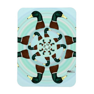 Mallards Galore. Magneet