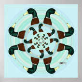 Mallards Galore. Poster (Voorkant)