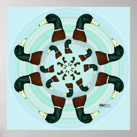 Mallards Galore. Poster (Voorkant)