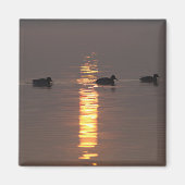 Mallards Magnet (Voorkant)