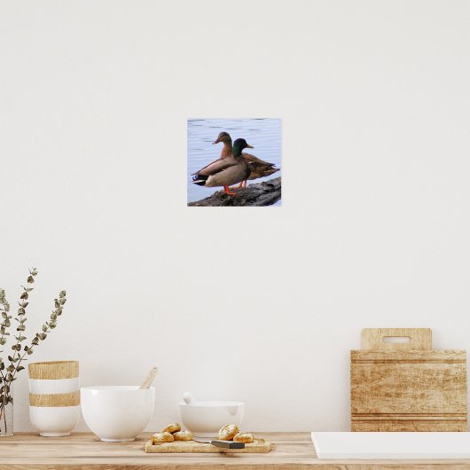 Mallards Poster (Keuken)