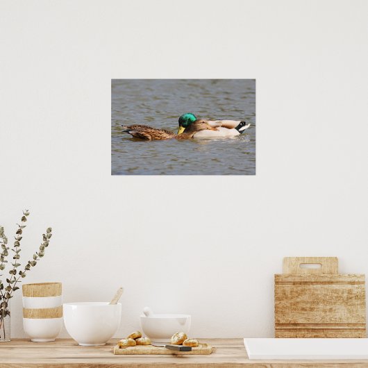 Mallards Poster (Keuken)