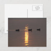 Mallards Postkaart (Voorkant / Achterkant)