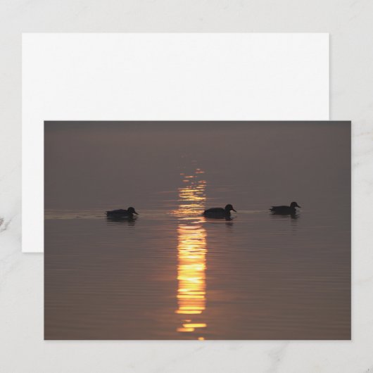 Mallards uitnodiging (Voorkant / Achterkant)
