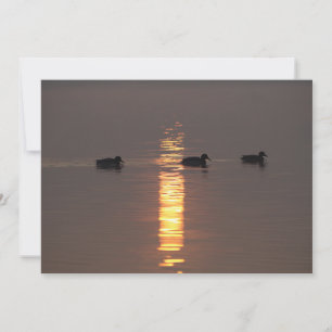 Mallards uitnodiging