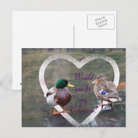 Mallards-verkering Feestdagenkaart (Voorkant / Achterkant)