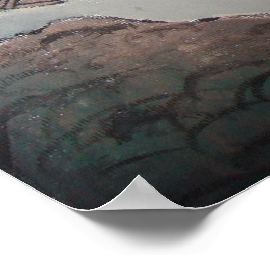 Mallardtrein Poster (Hoek)