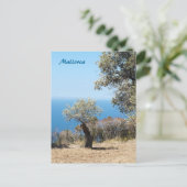 Mallorca Ansichtkaart Briefkaart (Staand voorkant)