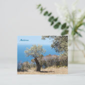 Mallorca-ansichtkaarten Briefkaart (Staand voorkant)