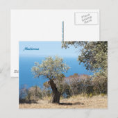 Mallorca-ansichtkaarten Briefkaart (Voorkant / Achterkant)