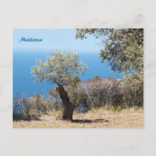 Mallorca-ansichtkaarten Briefkaart (Voorkant)