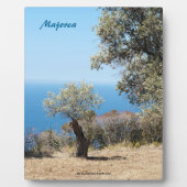 Mallorca Fotoplaat (Voorkant)