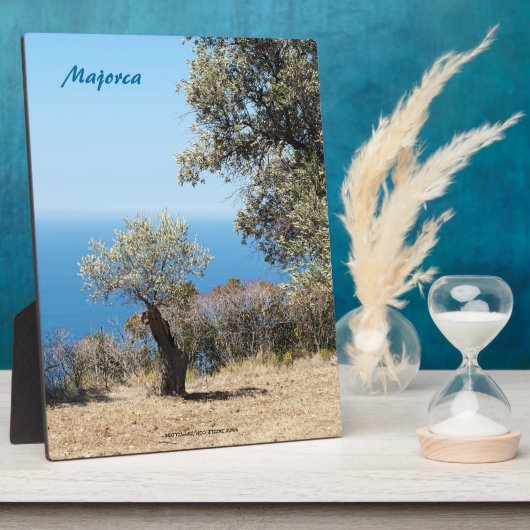 Mallorca Fotoplaat (Zijkant)