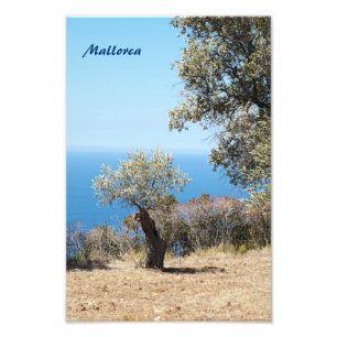 Mallorca Fotoprint Foto Afdruk