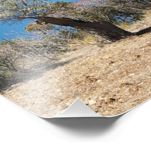 Mallorca fotoprint foto afdruk (Hoek)