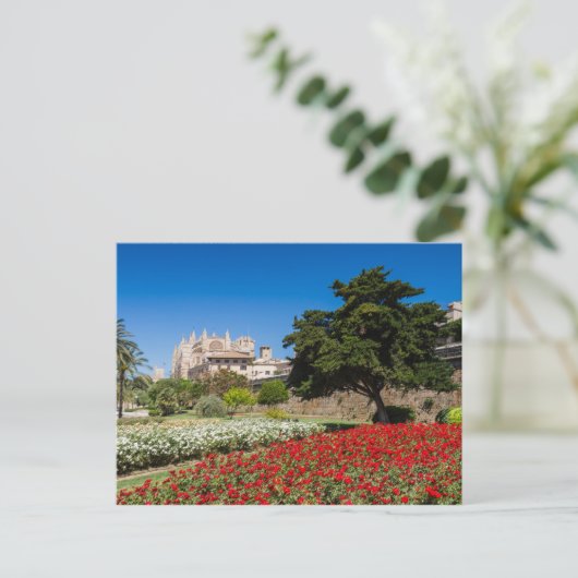 Mallorca - kathedraal van het briefkaart Palma (Staand voorkant)