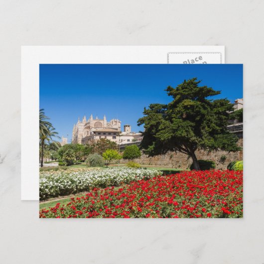 Mallorca - kathedraal van het briefkaart Palma (Voorkant / Achterkant)