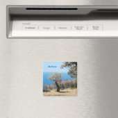 Mallorca Magneten (Insitu (Vaatwasser))