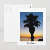 Mallorca Palm Tree in de Sunset Briefkaart (Voorkant / Achterkant)