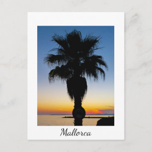 Mallorca Palm Tree in de Sunset Briefkaart