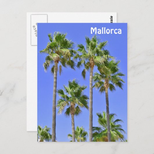 Mallorca Palm Trees Briefkaart (Voorkant / Achterkant)