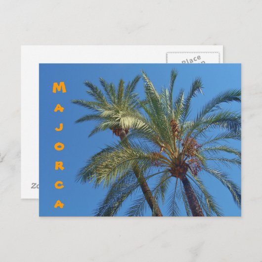 Mallorca Palms - Briefkaart (Voorkant / Achterkant)