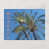 Mallorca Palms - Briefkaart (Voorkant)