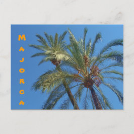 Mallorca Palms - Briefkaart