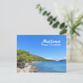 Mallorca, Playa Formentor - Briefkaart (Staand voorkant)