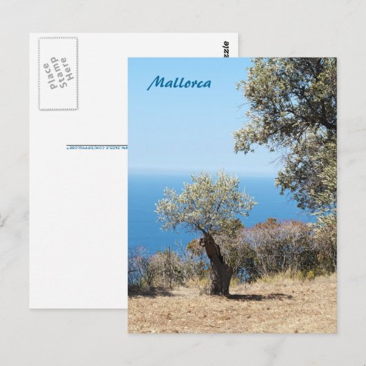Mallorca Postcard Briefkaart (Voorkant / Achterkant)