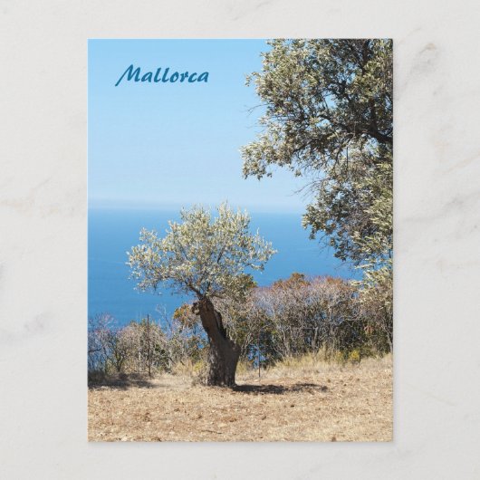 Mallorca Postcard Briefkaart (Voorkant)