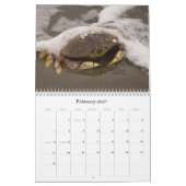 Mallory Jones Fotografie 2012 kalender (Feb 2027)