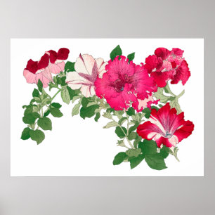 Mallow bloem,  Japanse kunst Poster