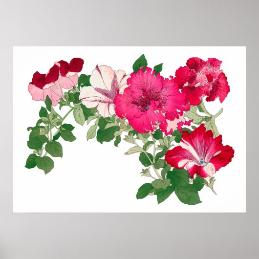 Mallow bloem,  Japanse kunst Poster (Voorkant)