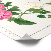 Mallow, Centranthus door Tanigami Konan Poster (Hoek)