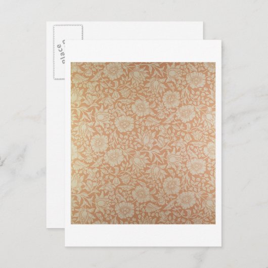 'Mallow'-mapontwerp Briefkaart (Voorkant / Achterkant)