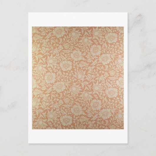 'Mallow'-mapontwerp Briefkaart (Voorkant)