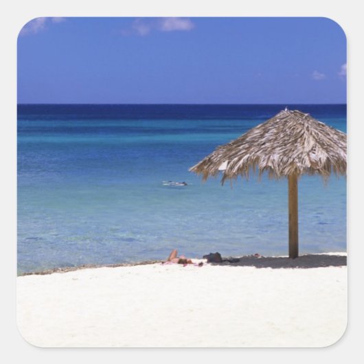 Malmok Beach, Aruba, Nederlandse Antillen Vierkante Sticker (Voorkant)