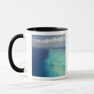 Malolo-barrièrerif voor de kust van Malolo-eiland, Mok