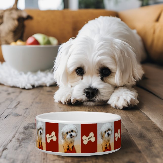 Malshi Dog Bowl met Bone Maroon Voerbakje (Creator heeft geüpload)