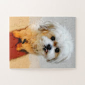 Malshi Dog Jigsaw Puzzel Oversized (Horizontaal)