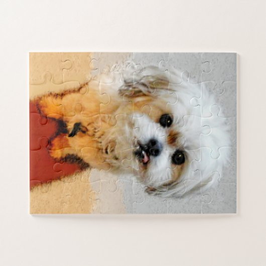 Malshi Dog Jigsaw Puzzel Oversized (Horizontaal)