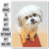 Malshi-hond aangepaste sticker (Voorkant)